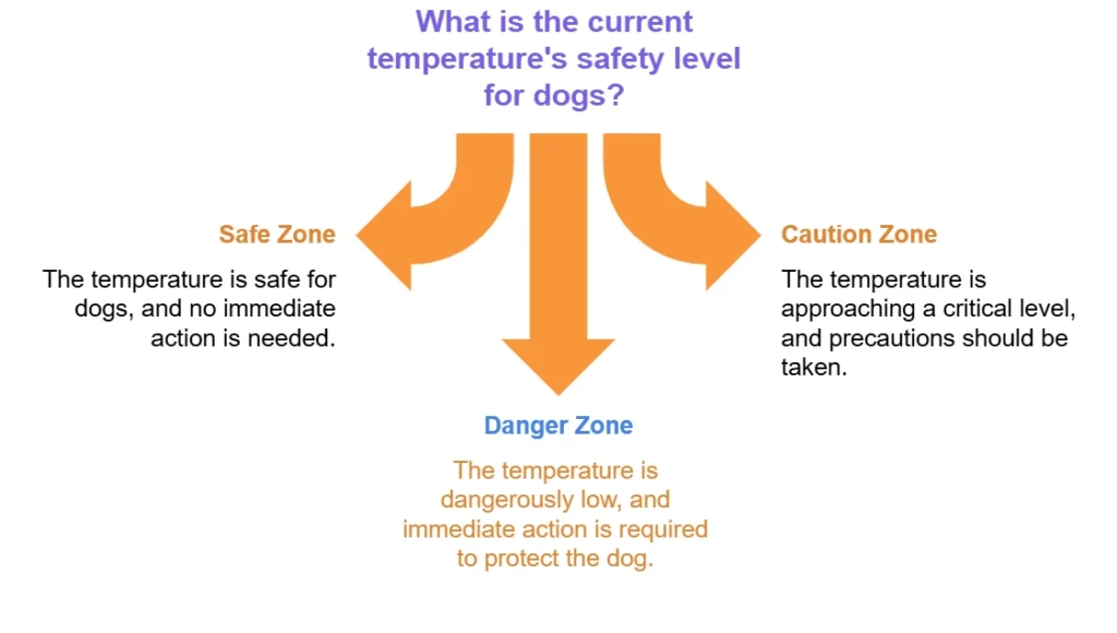 How Cold Is Too Cold for Dogs