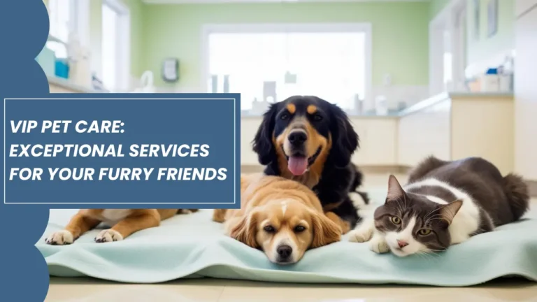 VIP Pet Care Exceptional Services for Your Furry Friends - KNOWMINT